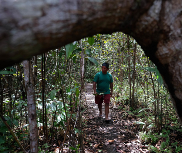 To fulfil the Tropical Forest Forever Facility’s promise, Indigenous and local communities must be at the heart of its governance