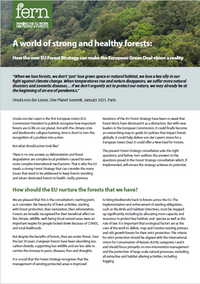 Response to the Forest Strategy consultation - A world of strong and healthy forests