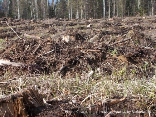Estonia discards the impact assessment of its Forestry Development Plan