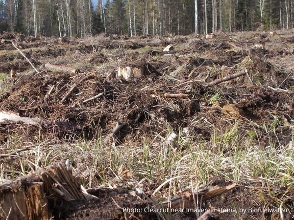 Estonia discards the impact assessment of its Forestry Development Plan