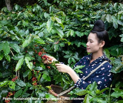 EU Deforestation Regulation must not imperil Vietnam's coffee farmers' livelihoods