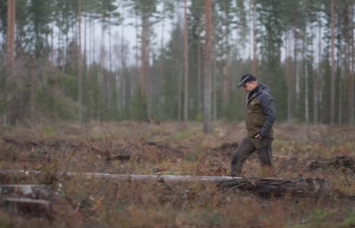 Video: Managing forests for the FUTURE: the benefits of close-to-nature forestry