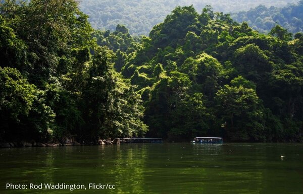 Vietnam timber legality Decree’s silences are as worrisome as its shrinking scope