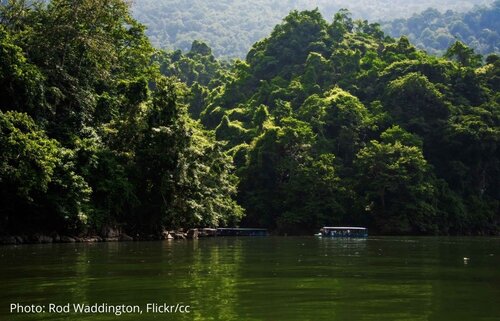 Vietnam timber legality Decree’s silences are as worrisome as its shrinking scope