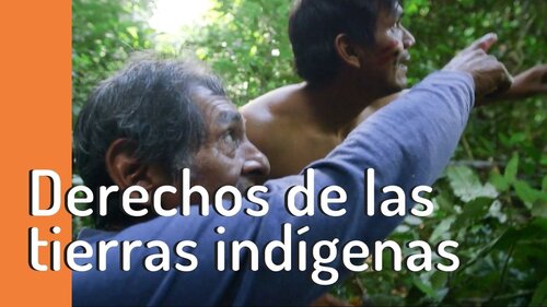 3 razones por las que la tenencia de la tierra es vital para los bosques, la humanidad y el planeta