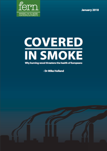 Covered in smoke: why burning biomass threatens European health