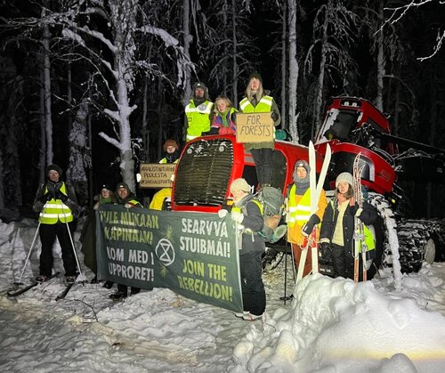Finnish State logging forest that is planned to be a national park