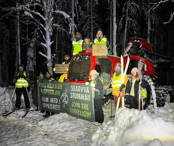 Finnish State logging forest that is planned to be a national park