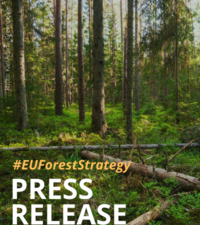Forest Strategy gives EU mandate to start healing Europe’s forests