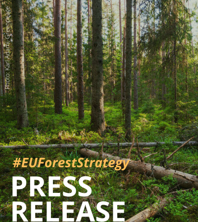 Forest Strategy gives EU mandate to start healing Europe’s forests