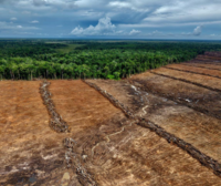 Can EU partnership ties with Indonesia help shield Indonesia’s local communities from harm?