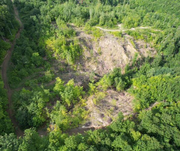 In Romania, the EUDR is urgently needed to prevent illegal wood harvesting and forest degradation