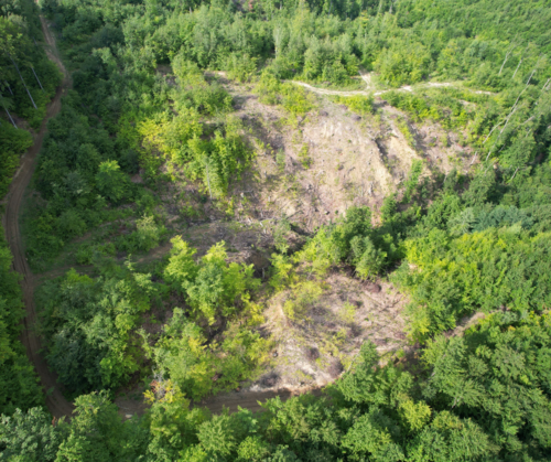 In Romania, the EUDR is urgently needed to prevent illegal wood harvesting and forest degradation