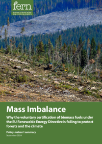 Mass Imbalance: Policy-makers' summary