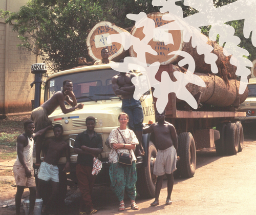Thirty years of action: Interview with Fern Co-founder Saskia Ozinga