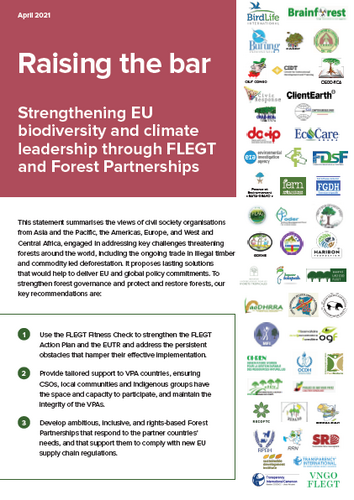 Raising the bar: Strengthening EU biodiversity and climate leadership through FLEGT and Forest Partnerships