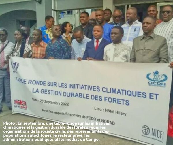 Deforestation Regulation: FLEGT’s achievements must be saved at all costs