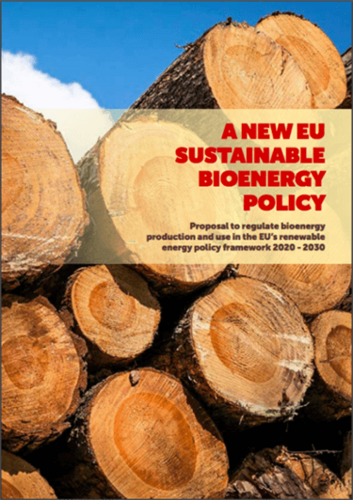 A new sustainable bioenergy policy