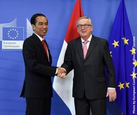 Fears the EU-Indonesia trade agreement won’t learn from mistakes of the past