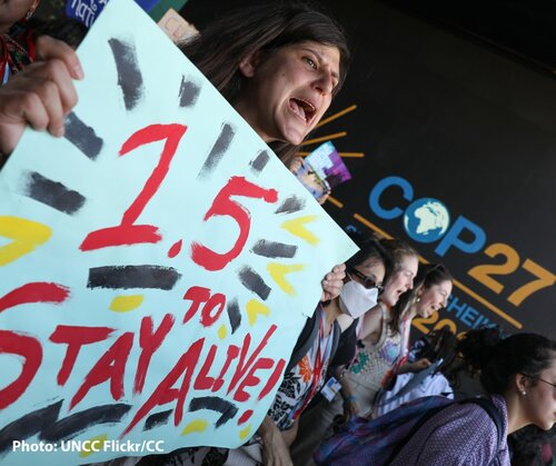COP27: Despite timid progress, implementation is off track for forests and forest peoples’ rights