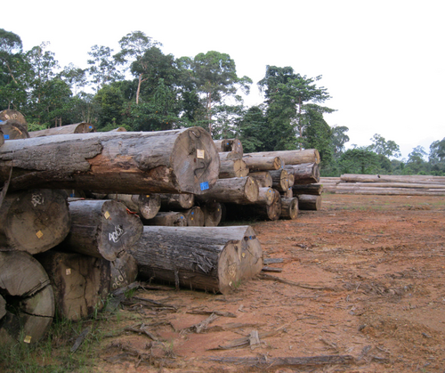 The EU-Indonesia CEPA places trade before social and environmental justice
