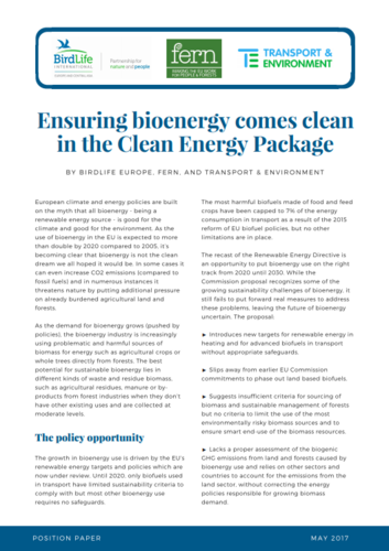 Ensuring bioenergy comes clean in the Clean Energy Package - Joint Statement