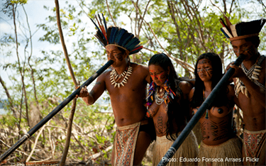 Why the EU must follow France’s lead in the battle to protect forests