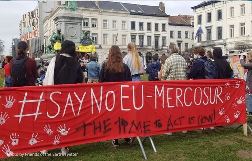 Forest Watch 263 - March 2021