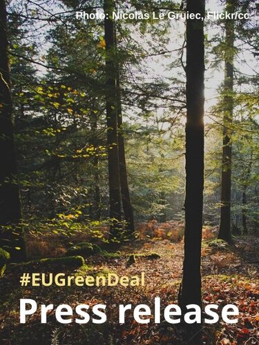 Green Deal could be a springboard for ambitious forest action