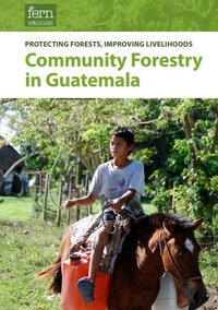 Protecting forests, improving livelihoods – Community forestry in Guatemala