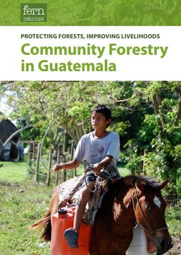 Protecting forests, improving livelihoods – Community forestry in Guatemala