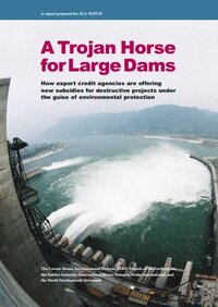 A Trojan Horse for Large Dams