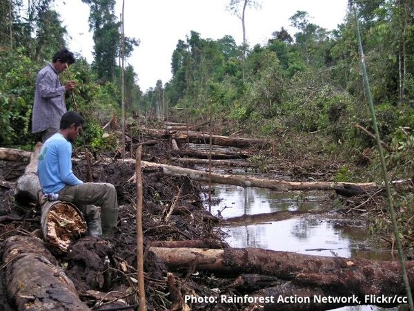 Worse than expected: Fears surround Indonesia’s draft job creation law