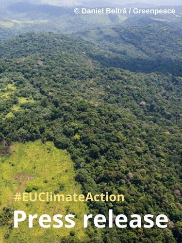 EU member states support EU regulatory measures to tackle deforestation