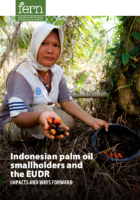 Indonesian palm oil smallholders and the EUDR: Impacts and ways forward