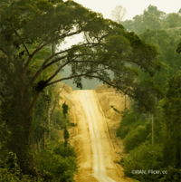France’s deforestation strategy – a good starting point