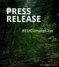 European Parliament confirms climate ambition, rejects delaying action with forests