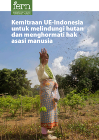 Kemitraan UE-Indonesia untuk melindungi hutan dan menghormati hak asasi manusia
