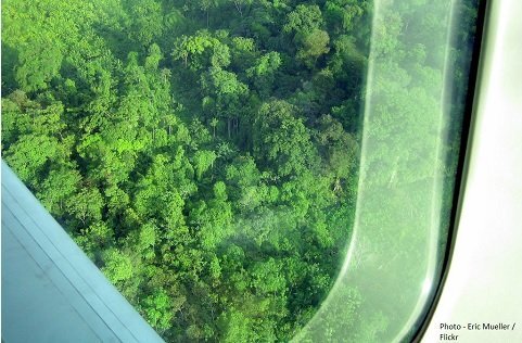 Response to the Verified Carbon Standard