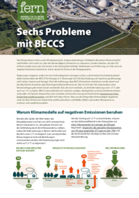 Sechs Probleme mit BECCS
