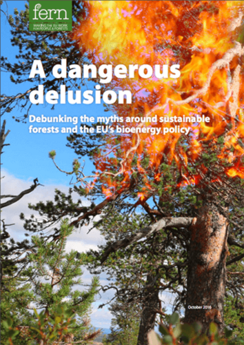 A dangerous delusion: Debunking the myths around sustainable forests and the EU’s bioenergy policy