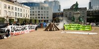 Forest Watch 279 - October 2022