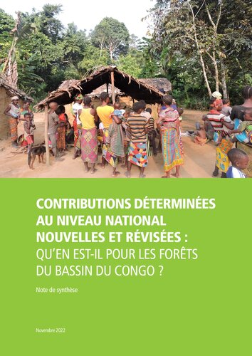 COP27 : Les pays du bassin du Congo doivent accroître leurs ambitions pour protéger le second poumon vert de la planète et renforcer la résilience des communautés locales