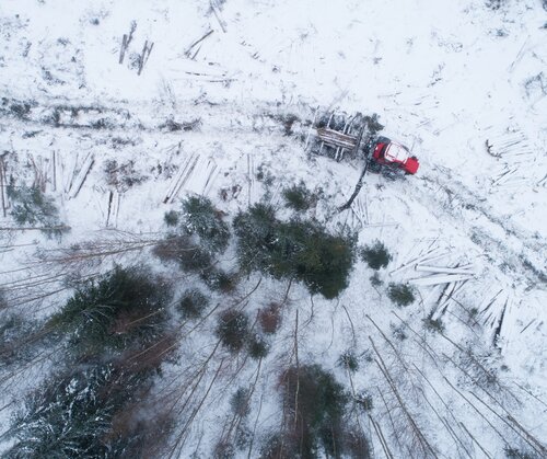Europe’s Dark Winter