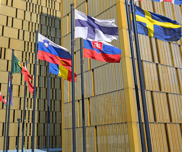 Enforcing EU law: Defending forests and biodiversity, from complaint to Court