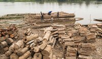 Forest Watch 264 - April 2021