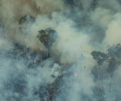 Is this the end for meaningful forest monitoring?