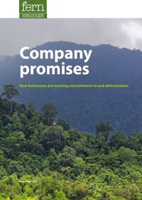 Company promises: How businesses are meeting commitments to end deforestation