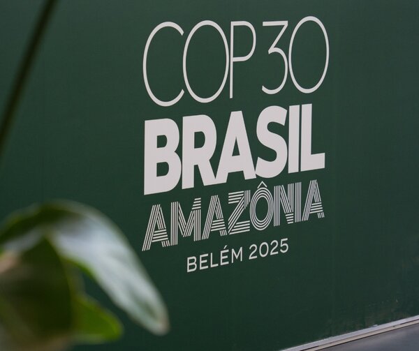 UN COP30: Civil Society keep up momentum as we move towards the “forest COP”