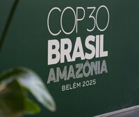 UN COP30: Civil Society keep up momentum as we move towards the “forest COP”